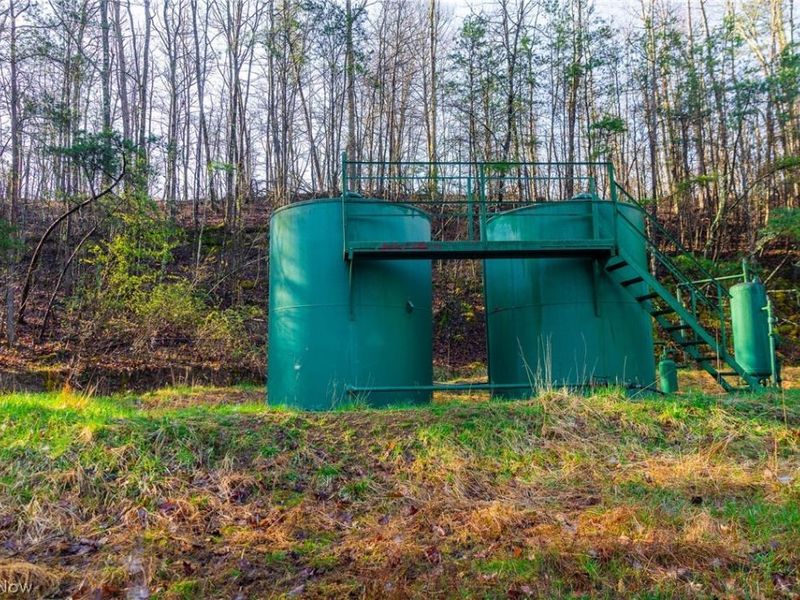 1590 Mcgregor Road, New Matamoras, OH 45767 Photo 11