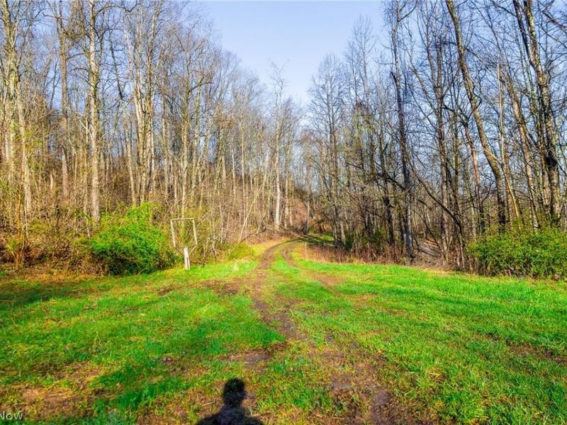 1590 Mcgregor Road, New Matamoras, OH 45767 Photo 12