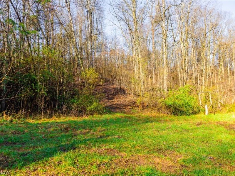 1590 Mcgregor Road, New Matamoras, OH 45767 Photo 13