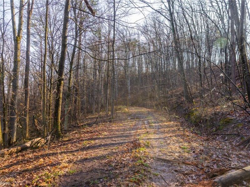 1590 Mcgregor Road, New Matamoras, OH 45767 Photo 14