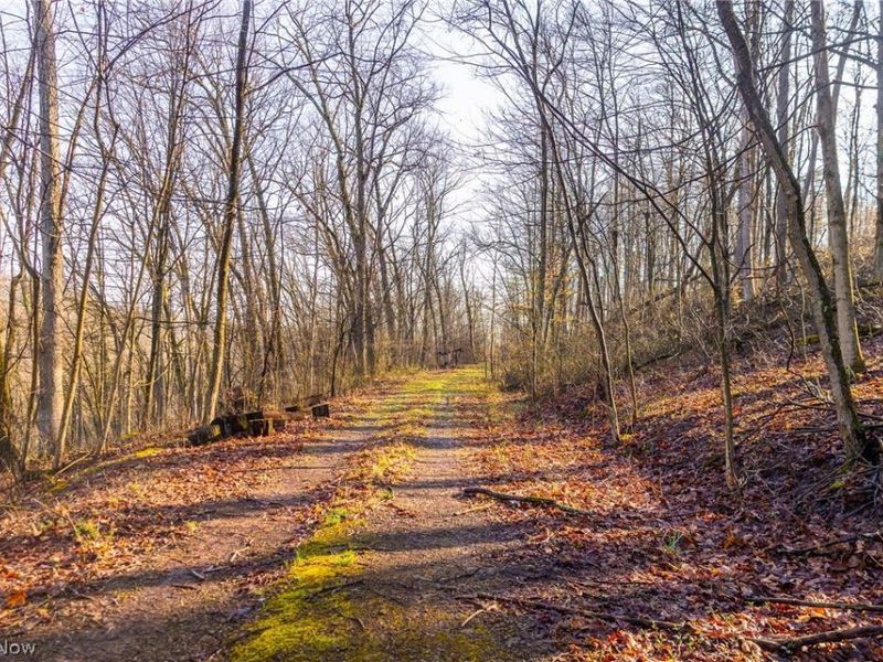 1590 Mcgregor Road, New Matamoras, OH 45767 Photo 15