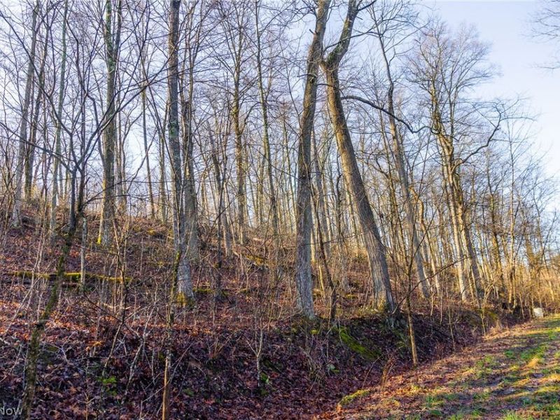 1590 Mcgregor Road, New Matamoras, OH 45767 Photo 16