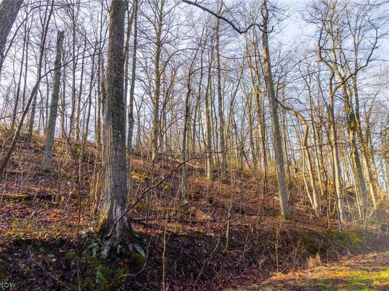 1590 Mcgregor Road, New Matamoras, OH 45767 Photo 17