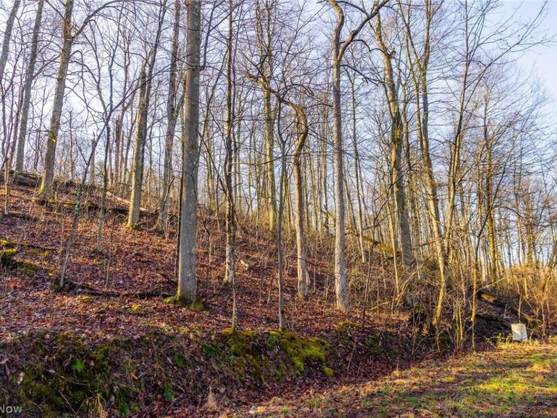 1590 Mcgregor Road, New Matamoras, OH 45767 Photo 18