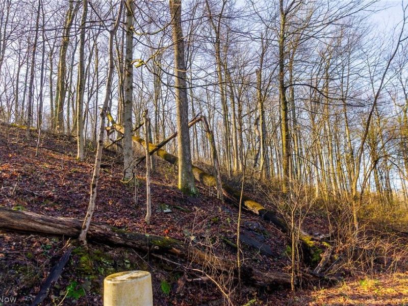 1590 Mcgregor Road, New Matamoras, OH 45767 Photo 19