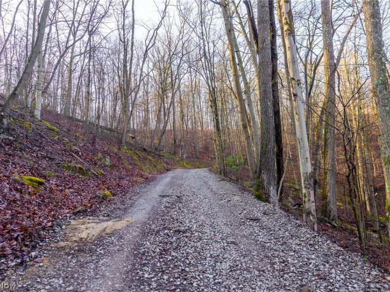 1590 Mcgregor Road, New Matamoras, OH 45767 Photo 2