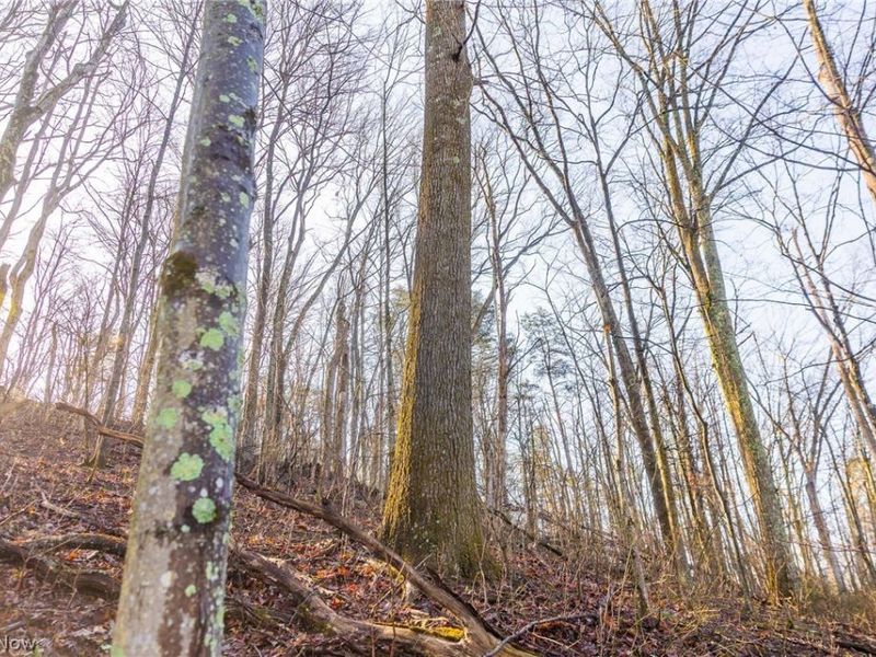 1590 Mcgregor Road, New Matamoras, OH 45767 Photo 20