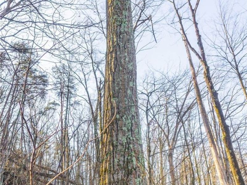 1590 Mcgregor Road, New Matamoras, OH 45767 Photo 22