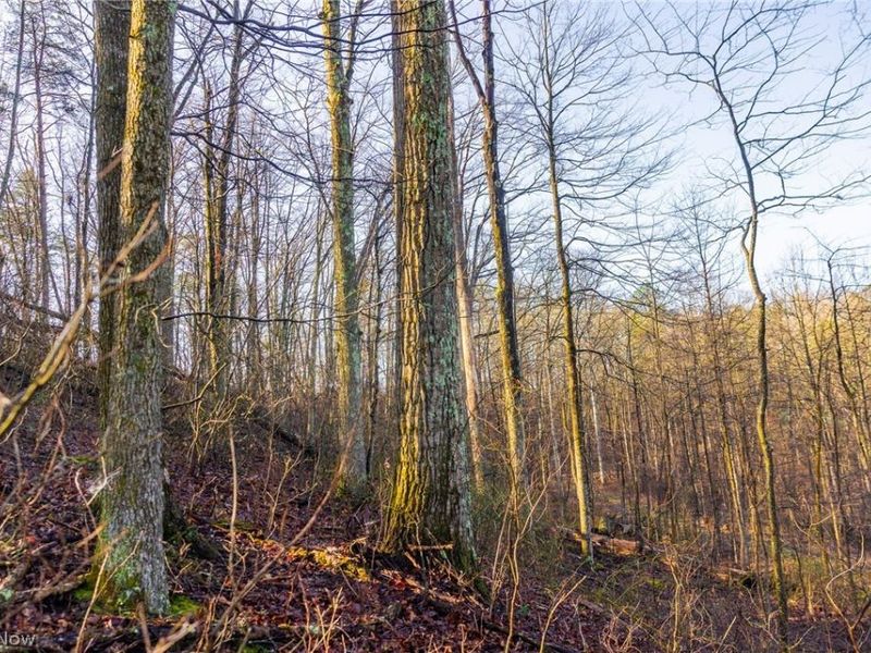 1590 Mcgregor Road, New Matamoras, OH 45767 Photo 23