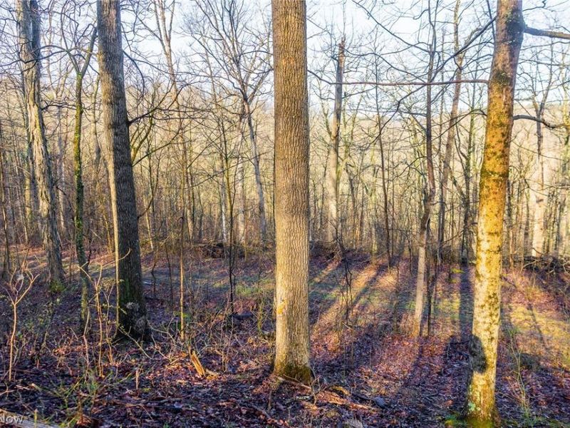 1590 Mcgregor Road, New Matamoras, OH 45767 Photo 24