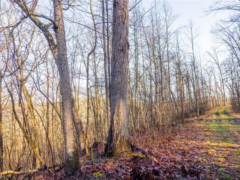 1590 Mcgregor Road, New Matamoras, OH 45767 Photo 25