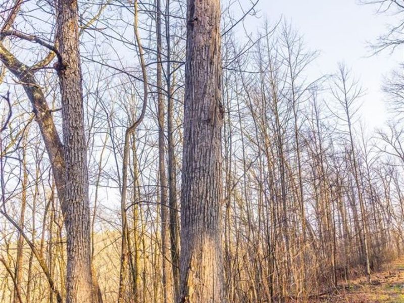 1590 Mcgregor Road, New Matamoras, OH 45767 Photo 26