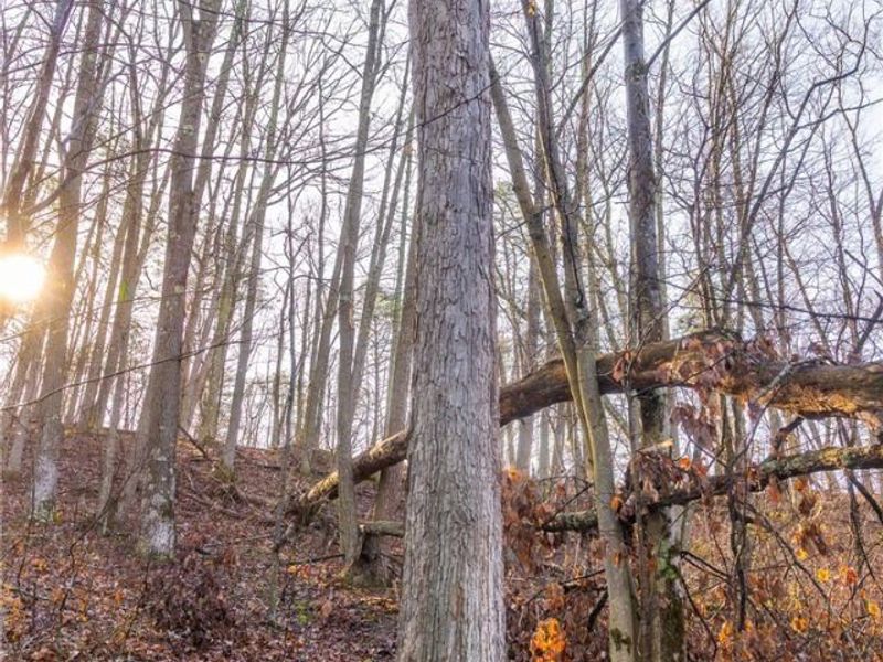 1590 Mcgregor Road, New Matamoras, OH 45767 Photo 27