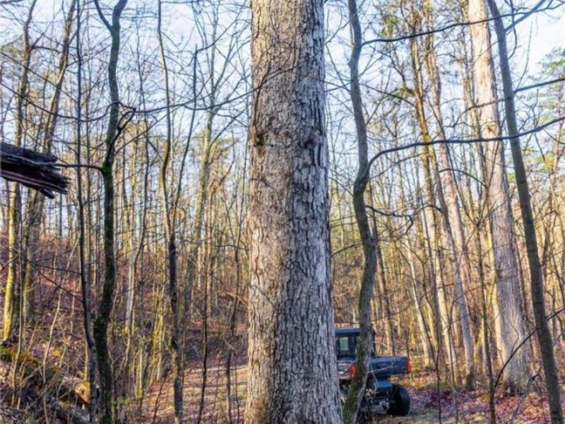 1590 Mcgregor Road, New Matamoras, OH 45767 Photo 28