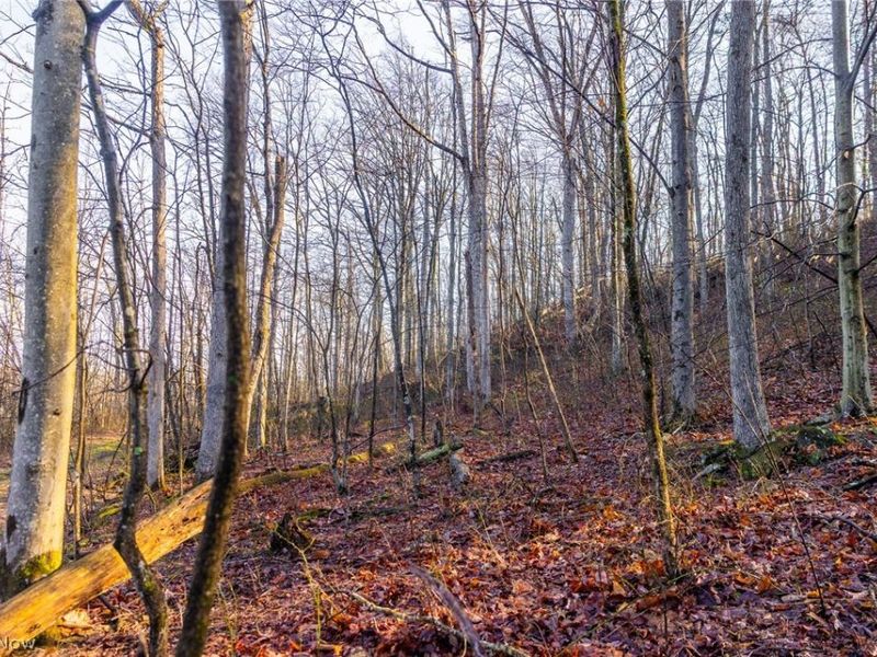 1590 Mcgregor Road, New Matamoras, OH 45767 Photo 29