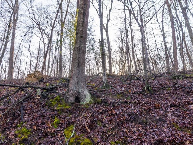 1590 Mcgregor Road, New Matamoras, OH 45767 Photo 3