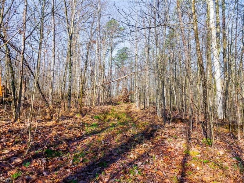 1590 Mcgregor Road, New Matamoras, OH 45767 Photo 32