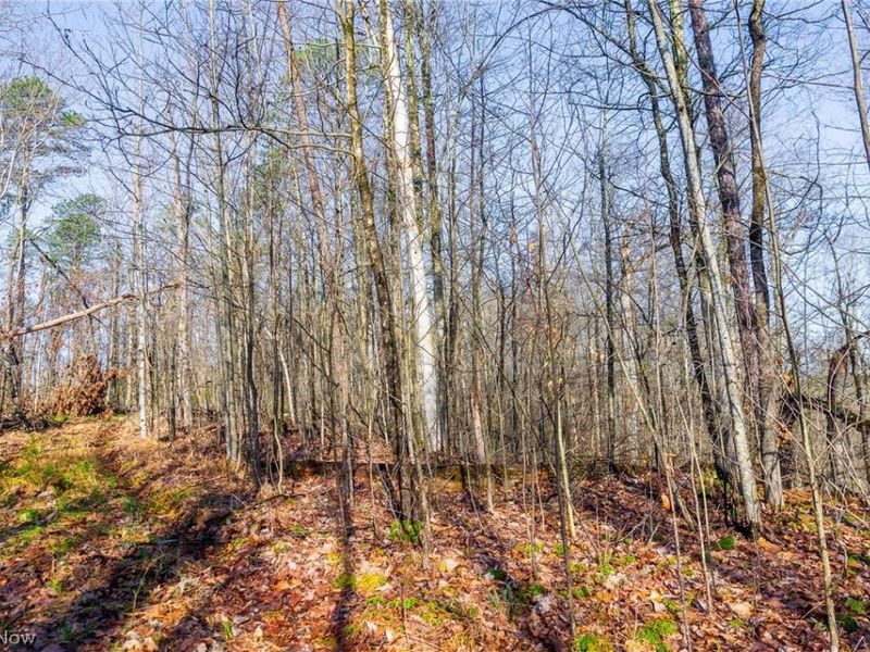 1590 Mcgregor Road, New Matamoras, OH 45767 Photo 33