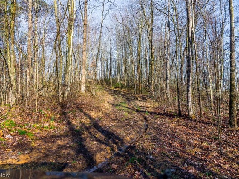 1590 Mcgregor Road, New Matamoras, OH 45767 Photo 34