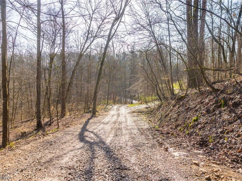 1590 Mcgregor Road, New Matamoras, OH 45767 Photo 35