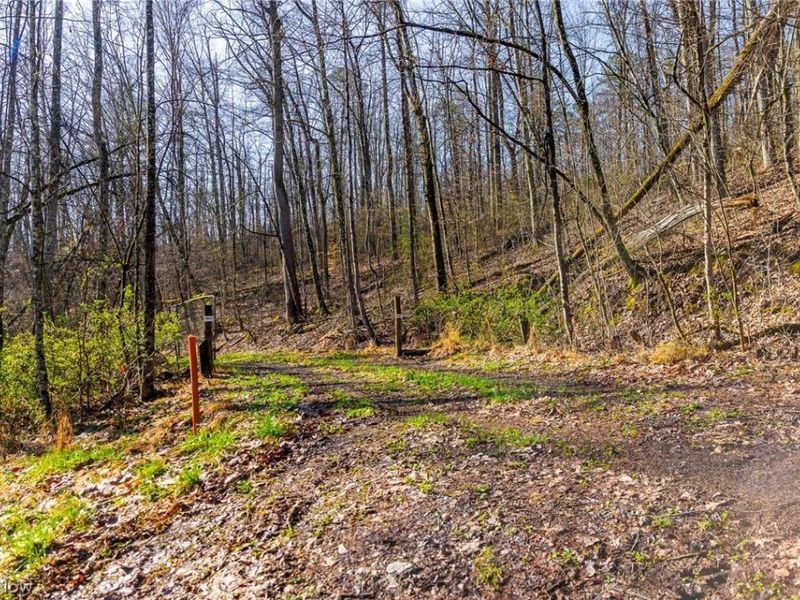 1590 Mcgregor Road, New Matamoras, OH 45767 Photo 36