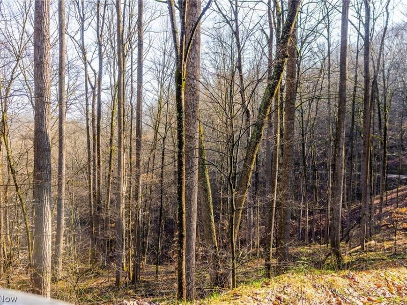 1590 Mcgregor Road, New Matamoras, OH 45767 Photo 37