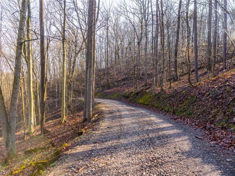 1590 Mcgregor Road, New Matamoras, OH 45767 Photo 38