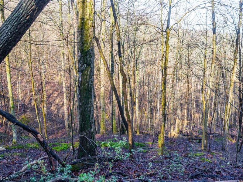 1590 Mcgregor Road, New Matamoras, OH 45767 Photo 39