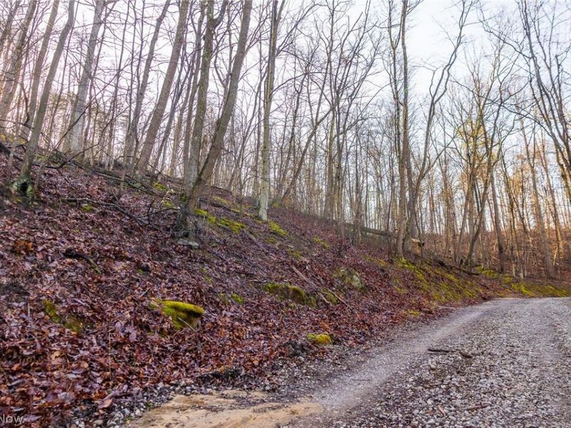 1590 Mcgregor Road, New Matamoras, OH 45767 Photo 4