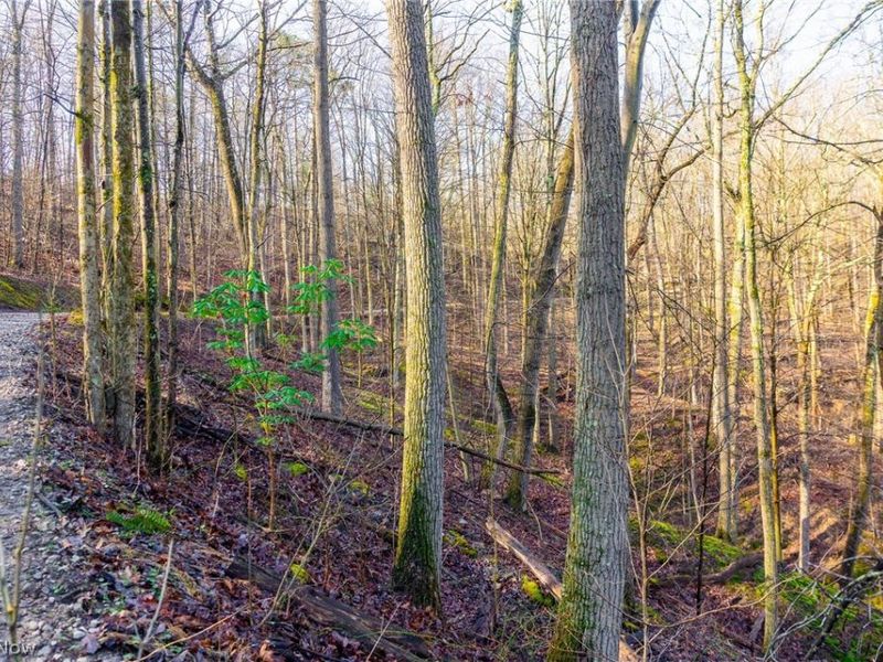 1590 Mcgregor Road, New Matamoras, OH 45767 Photo 40