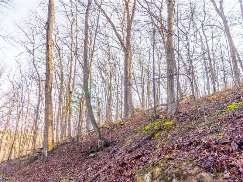 1590 Mcgregor Road, New Matamoras, OH 45767 Photo 41