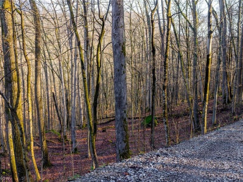 1590 Mcgregor Road, New Matamoras, OH 45767 Photo 43