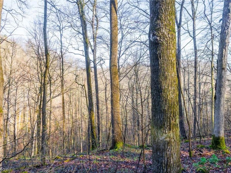 1590 Mcgregor Road, New Matamoras, OH 45767 Photo 44