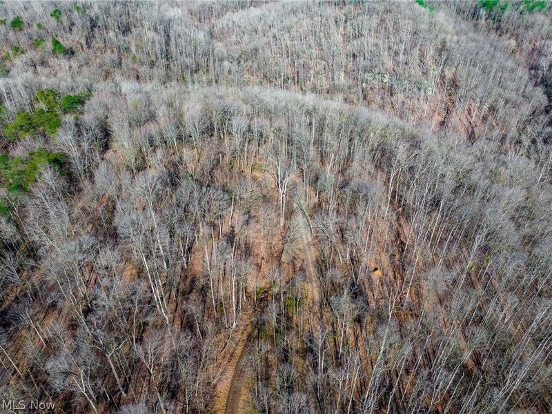 1590 Mcgregor Road, New Matamoras, OH 45767 Photo 47