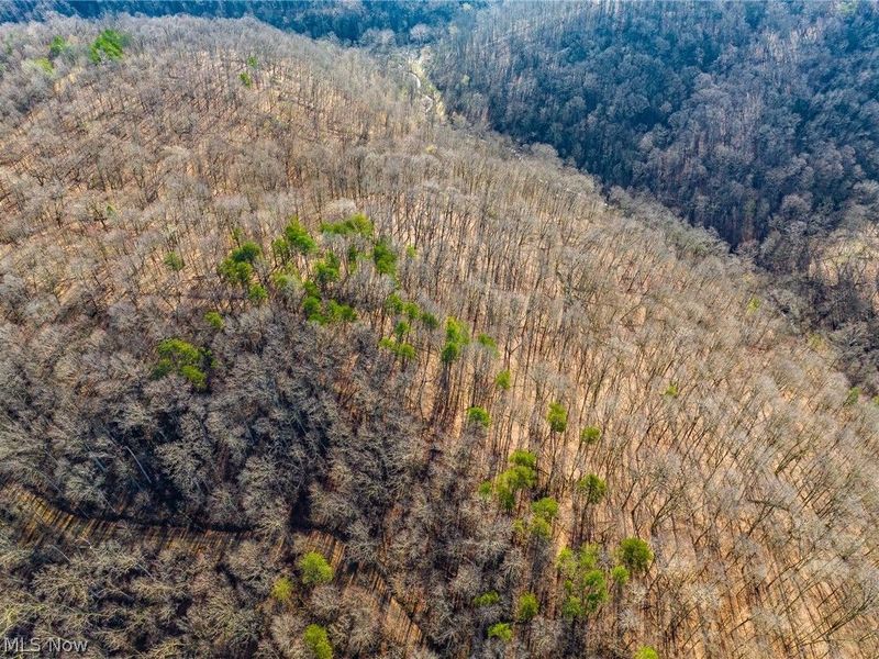 1590 Mcgregor Road, New Matamoras, OH 45767 Photo 49