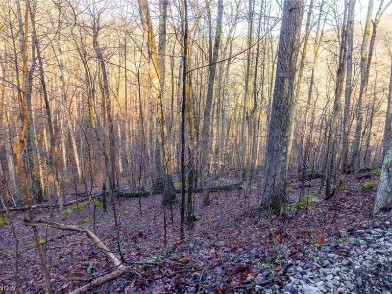 1590 Mcgregor Road, New Matamoras, OH 45767 Photo 5