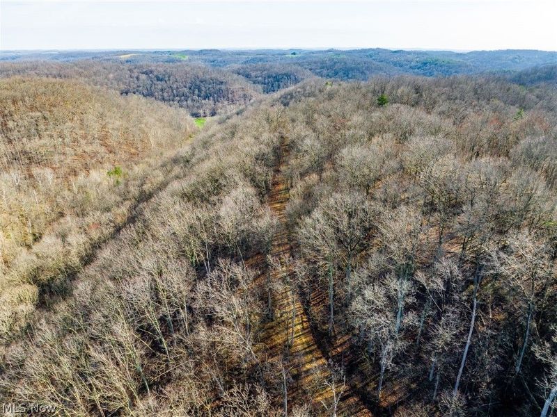 1590 Mcgregor Road, New Matamoras, OH 45767 Photo 50