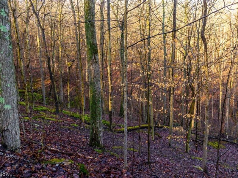 1590 Mcgregor Road, New Matamoras, OH 45767 Photo 6