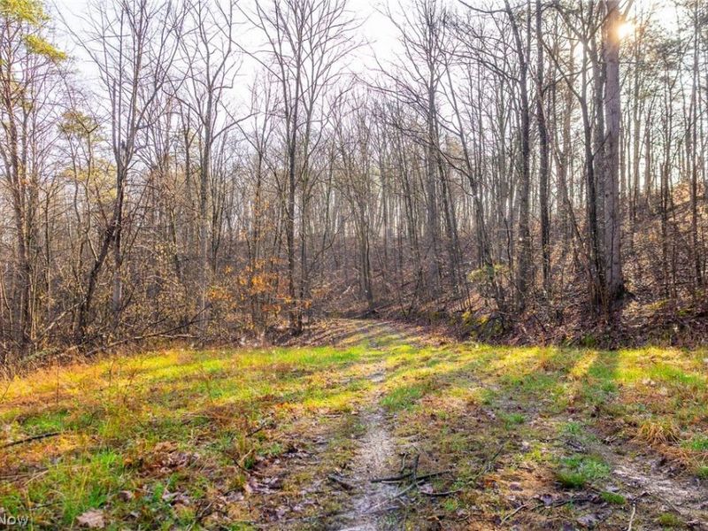 1590 Mcgregor Road, New Matamoras, OH 45767 Photo 7