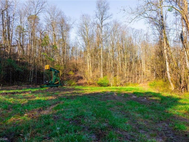 1590 Mcgregor Road, New Matamoras, OH 45767 Photo 9