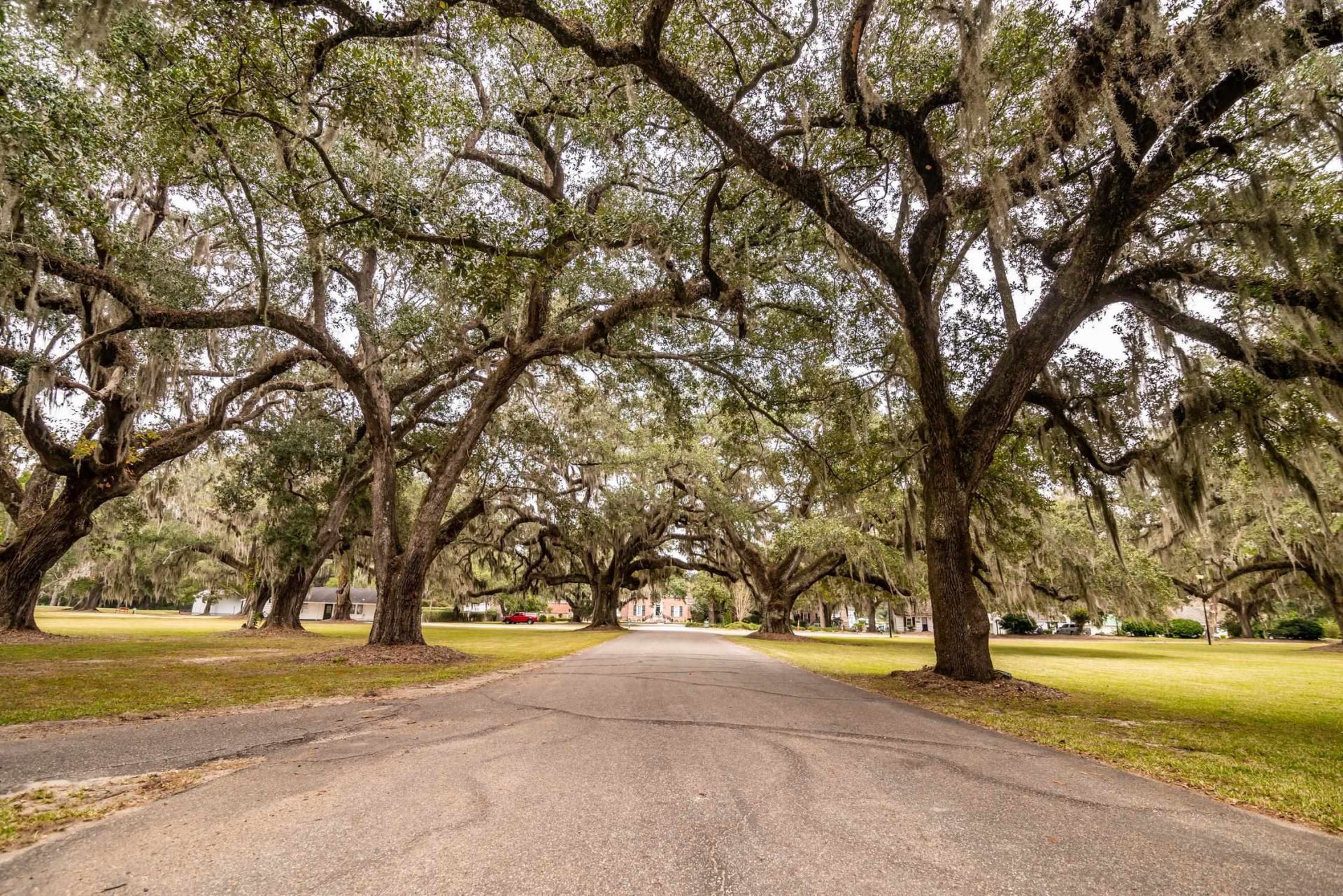 75 Pine Grove Ln. Photo 42