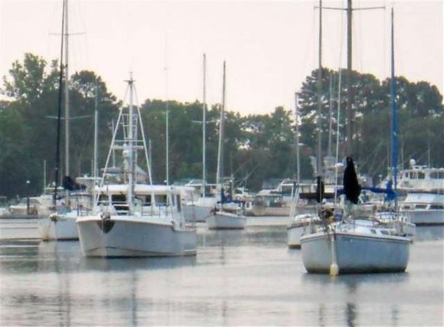 75 Pine Grove Ln. Photo 47