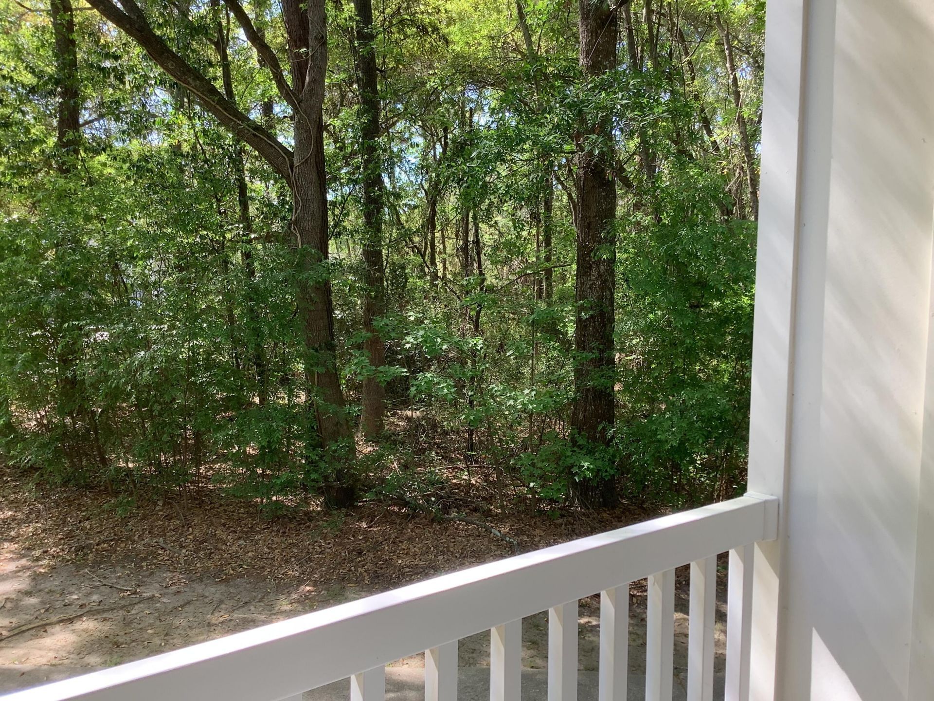 700 Daniel Ellis Drive Photo 16