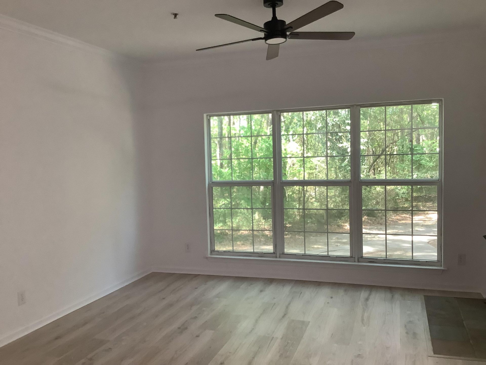 700 Daniel Ellis Drive Photo 5