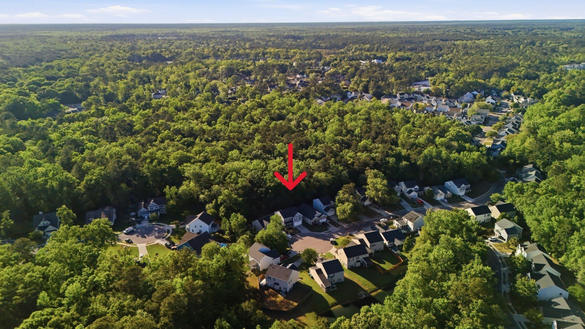 3036 Ellington Drive Photo 34