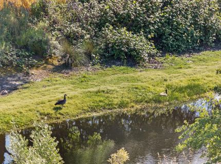 5204 Crown Bench Cir, Elk Grove, CA 95757 Photo