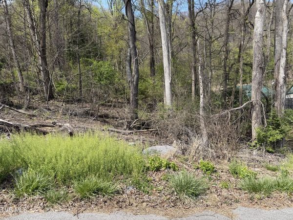 513 San Antonio Drive, Bristol, TN 37620