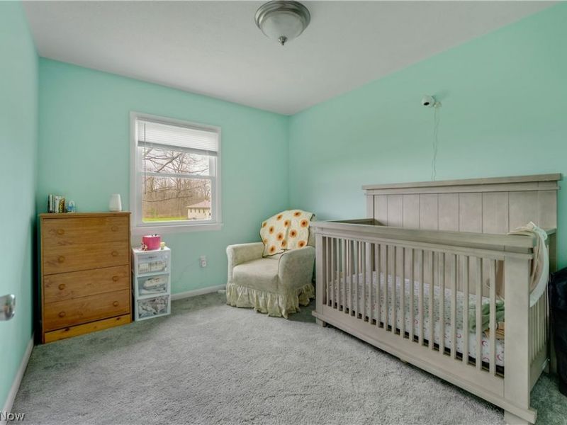 9391 Infirmary Road, Mantua, OH 44255 Photo 9