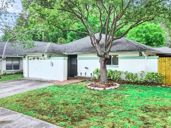 5909 BITTERWOOD COURT , TAMPA, FL 33625