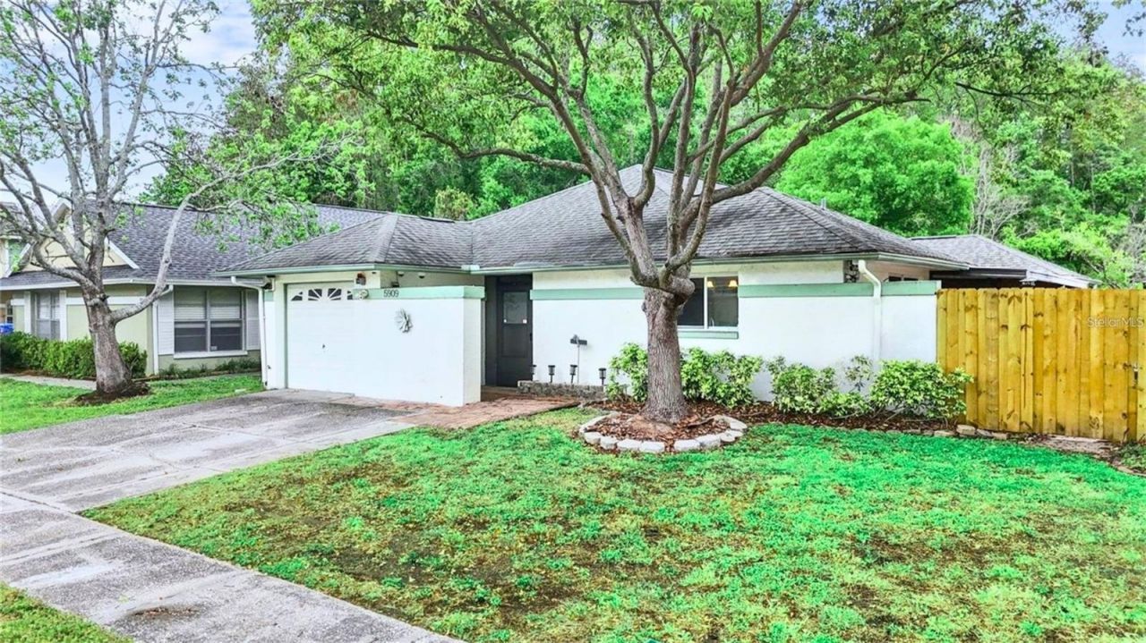 5909 Bitterwood Court, Tampa, FL 33625 Main Photo